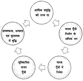 भारत में मानव पूँजी का निर्माण (Human Capital Formation In India) NCERT Solutions | NCERT Textbooks in Hindi (Class 6 to Class 12) - CTET & State TET