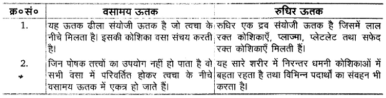 प्राणियों में संरचनात्मक संगठन (Structural Organisation in Animals) NCERT Solutions | NCERT Textbooks in Hindi (Class 6 to Class 12) - CTET & State TET