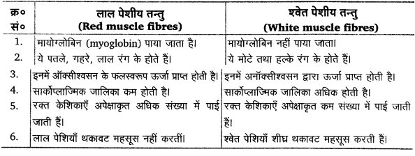गमन एवं संचलन (Locomotion & Movement) NCERT Solutions | NCERT Textbooks in Hindi (Class 6 to Class 12) - CTET & State TET