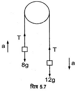 गति के नियम (Laws of Motion) NCERT Solutions | NCERT Textbooks in Hindi (Class 6 to Class 12) - CTET & State TET