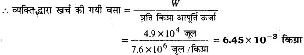 कार्य, ऊर्जा और शक्ति (Work, Energy & Power) NCERT Solutions | NCERT Textbooks in Hindi (Class 6 to Class 12) - CTET & State TET