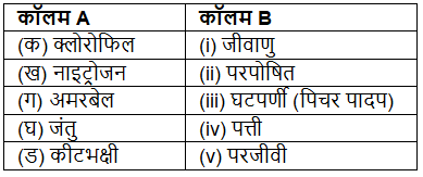 पादपों में पोषण (Nutrition in Plants) NCERT Solutions | NCERT Textbooks in Hindi (Class 6 to Class 12) - CTET & State TET