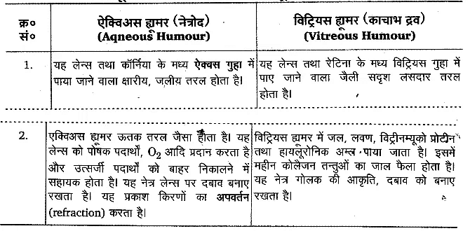 तन्त्रिकीय नियन्त्रण एवं समन्वय (Neural Control & Coordination) NCERT Solutions | NCERT Textbooks in Hindi (Class 6 to Class 12) - CTET & State TET