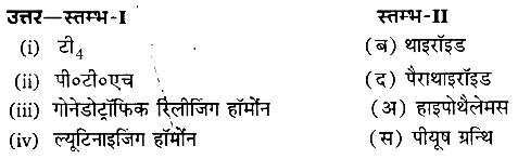 रासायनिक समन्वय तथा एकीकरण (Chemical Coordination & Integration) NCERT Solutions | NCERT Textbooks in Hindi (Class 6 to Class 12) - CTET & State TET
