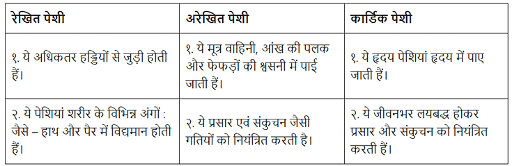 ऊतक (Tissues) NCERT Solutions | NCERT Textbooks in Hindi (Class 6 to Class 12) - CTET & State TET