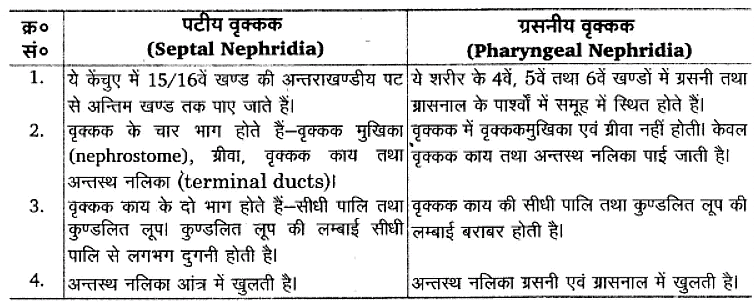 प्राणियों में संरचनात्मक संगठन (Structural Organisation in Animals) NCERT Solutions | NCERT Textbooks in Hindi (Class 6 to Class 12) - CTET & State TET