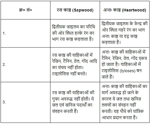पुष्पी पादपों का शारीर (Anatomy of Flowering Plants) NCERT Solutions | NCERT Textbooks in Hindi (Class 6 to Class 12) - CTET & State TET