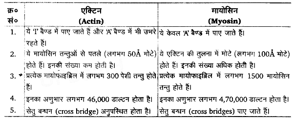 गमन एवं संचलन (Locomotion & Movement) NCERT Solutions | NCERT Textbooks in Hindi (Class 6 to Class 12) - CTET & State TET