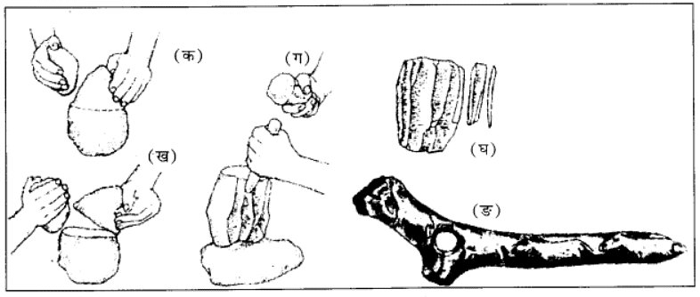 प्रारंभिक समाज (From the Beginning of Time) NCERT Solutions | NCERT Textbooks in Hindi (Class 6 to Class 12) - CTET & State TET