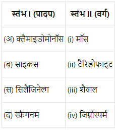 वनस्पति जगत (Plant Kingdom) NCERT Solutions | NCERT Textbooks in Hindi (Class 6 to Class 12) - CTET & State TET