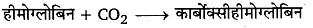 श्वसन और गैसों का विनिमय (Breathing & Exchange of Gases) NCERT Solutions | NCERT Textbooks in Hindi (Class 6 to Class 12) - CTET & State TET