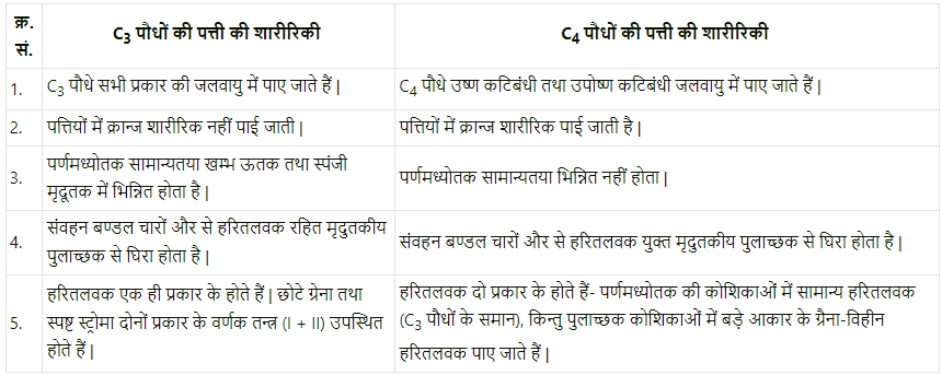 उच्च पादपों में प्रकाश-संश्लेषण (Photosynthesis in Higher Plants) NCERT Solutions | NCERT Textbooks in Hindi (Class 6 to Class 12) - CTET & State TET
