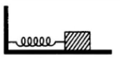 दोलन (Oscillations) NCERT Solutions | NCERT Textbooks in Hindi (Class 6 to Class 12) - CTET & State TET