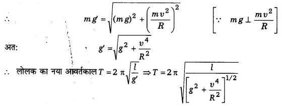 दोलन (Oscillations) NCERT Solutions | NCERT Textbooks in Hindi (Class 6 to Class 12) - CTET & State TET