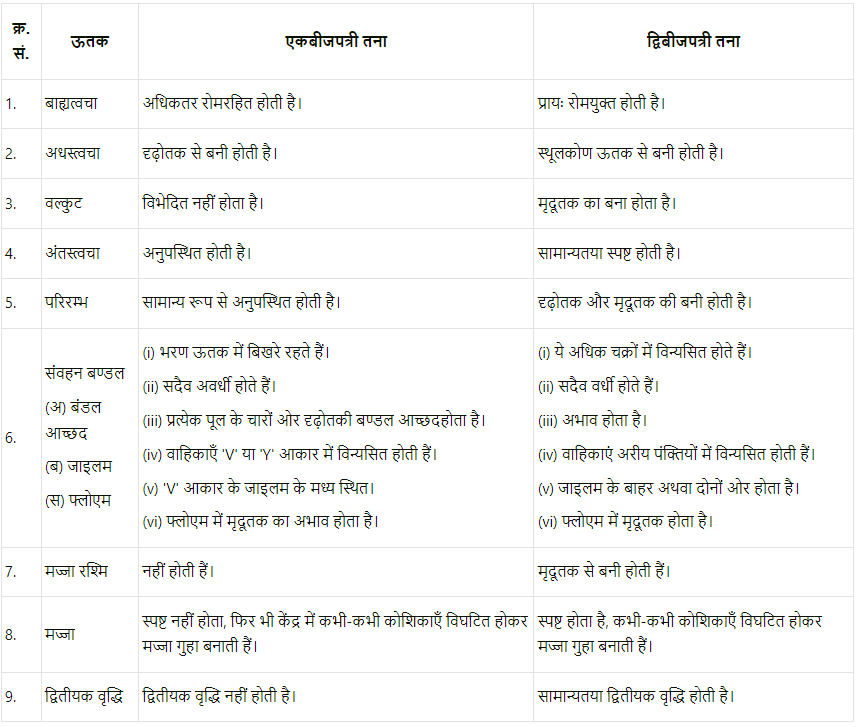 पुष्पी पादपों का शारीर (Anatomy of Flowering Plants) NCERT Solutions | NCERT Textbooks in Hindi (Class 6 to Class 12) - CTET & State TET