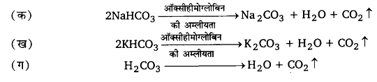 श्वसन और गैसों का विनिमय (Breathing & Exchange of Gases) NCERT Solutions | NCERT Textbooks in Hindi (Class 6 to Class 12) - CTET & State TET