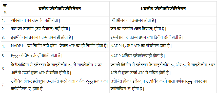 उच्च पादपों में प्रकाश-संश्लेषण (Photosynthesis in Higher Plants) NCERT Solutions | NCERT Textbooks in Hindi (Class 6 to Class 12) - CTET & State TET