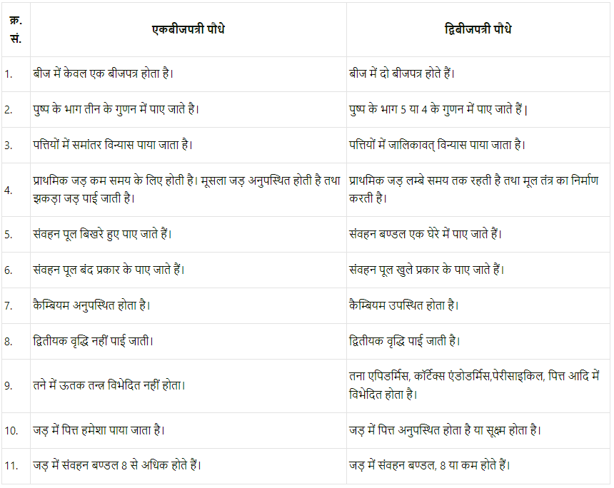 वनस्पति जगत (Plant Kingdom) NCERT Solutions | NCERT Textbooks in Hindi (Class 6 to Class 12) - CTET & State TET