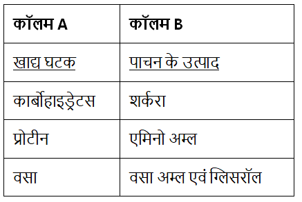 प्राणियों में पोषण (Nutrition in Animals) NCERT Solutions | NCERT Textbooks in Hindi (Class 6 to Class 12) - CTET & State TET