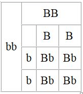 आनुवंशिकता एवं जैव विकास (Heredity & Evolution) NCERT Solutions | NCERT Textbooks in Hindi (Class 6 to Class 12) - CTET & State TET