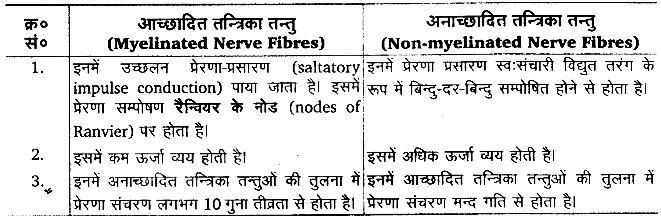 तन्त्रिकीय नियन्त्रण एवं समन्वय (Neural Control & Coordination) NCERT Solutions | NCERT Textbooks in Hindi (Class 6 to Class 12) - CTET & State TET