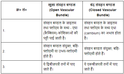 पुष्पी पादपों का शारीर (Anatomy of Flowering Plants) NCERT Solutions | NCERT Textbooks in Hindi (Class 6 to Class 12) - CTET & State TET