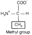 - जैव अणु (Biomolecules) NCERT Solutions | NCERT Textbooks in Hindi (Class 6 to Class 12) - CTET & State TET