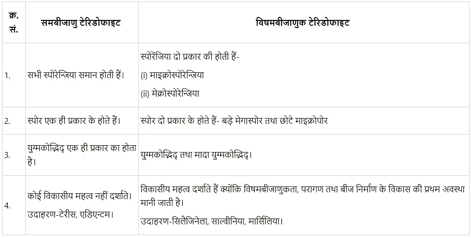 वनस्पति जगत (Plant Kingdom) NCERT Solutions | NCERT Textbooks in Hindi (Class 6 to Class 12) - CTET & State TET