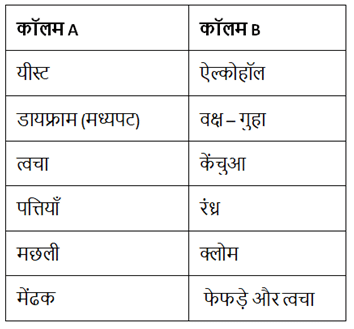 जीवों में श्वसन NCERT Solutions | NCERT Textbooks in Hindi (Class 6 to Class 12) - CTET & State TET
