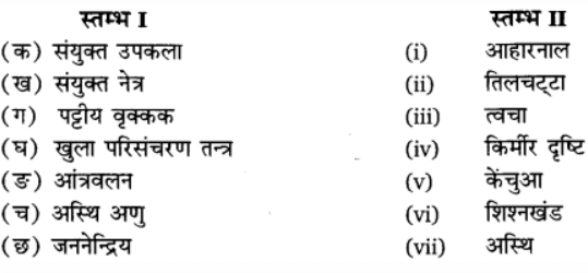 प्राणियों में संरचनात्मक संगठन (Structural Organisation in Animals) NCERT Solutions | NCERT Textbooks in Hindi (Class 6 to Class 12) - CTET & State TET