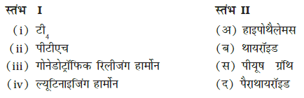 रासायनिक समन्वय तथा एकीकरण (Chemical Coordination & Integration) NCERT Solutions | NCERT Textbooks in Hindi (Class 6 to Class 12) - CTET & State TET
