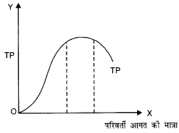 उत्पादन तथा लागत (Production & Costs) NCERT Solutions | NCERT Textbooks in Hindi (Class 6 to Class 12) - CTET & State TET