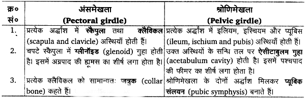 गमन एवं संचलन (Locomotion & Movement) NCERT Solutions | NCERT Textbooks in Hindi (Class 6 to Class 12) - CTET & State TET
