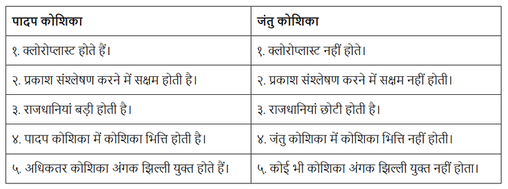 जीवन की मौलिक इकाई (Cell- The Fundamental Unit Of Life) NCERT Solutions | NCERT Textbooks in Hindi (Class 6 to Class 12) - CTET & State TET