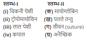 गमन एवं संचलन (Locomotion & Movement) NCERT Solutions | NCERT Textbooks in Hindi (Class 6 to Class 12) - CTET & State TET