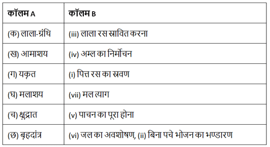 प्राणियों में पोषण (Nutrition in Animals) NCERT Solutions | NCERT Textbooks in Hindi (Class 6 to Class 12) - CTET & State TET