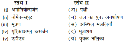 उत्सर्जी उत्पाद एवं उनका निष्कासन (Excretory Products & their Elimination) NCERT Solutions | NCERT Textbooks in Hindi (Class 6 to Class 12) - CTET & State TET