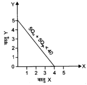 उपभोक्ता के व्यवहार का सिद्धांत (Theory of Consumer Behaviour) NCERT Solutions | NCERT Textbooks in Hindi (Class 6 to Class 12) - CTET & State TET