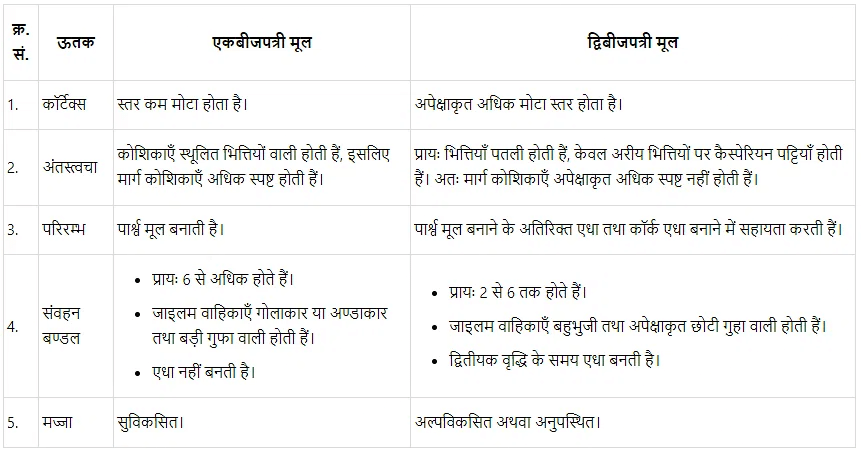 पुष्पी पादपों का शारीर (Anatomy of Flowering Plants) NCERT Solutions | NCERT Textbooks in Hindi (Class 6 to Class 12) - CTET & State TET