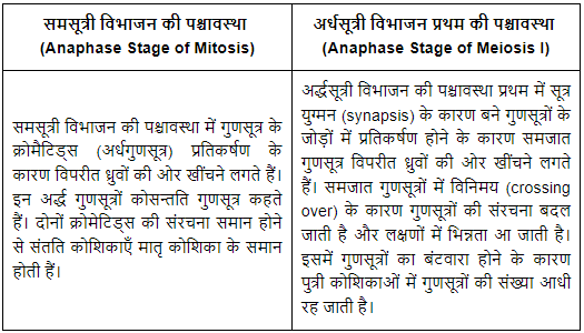 कोशिका चक्र और कोशिका विभाजन (Cell Cycle & Cell Division) NCERT Solutions | NCERT Textbooks in Hindi (Class 6 to Class 12) - CTET & State TET