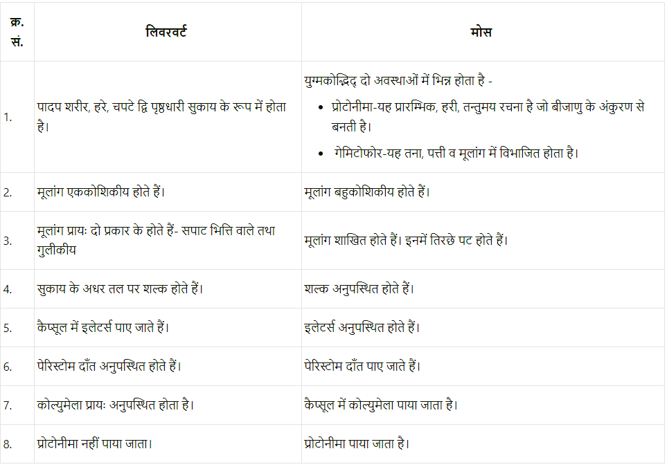 वनस्पति जगत (Plant Kingdom) NCERT Solutions | NCERT Textbooks in Hindi (Class 6 to Class 12) - CTET & State TET