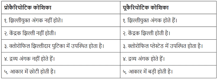 जीवन की मौलिक इकाई (Cell- The Fundamental Unit Of Life) NCERT Solutions | NCERT Textbooks in Hindi (Class 6 to Class 12) - CTET & State TET