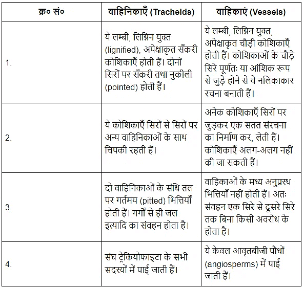 पुष्पी पादपों का शारीर (Anatomy of Flowering Plants) NCERT Solutions | NCERT Textbooks in Hindi (Class 6 to Class 12) - CTET & State TET