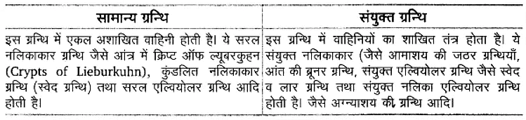 प्राणियों में संरचनात्मक संगठन (Structural Organisation in Animals) NCERT Solutions | NCERT Textbooks in Hindi (Class 6 to Class 12) - CTET & State TET