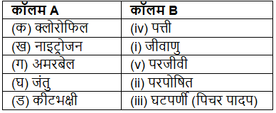 पादपों में पोषण (Nutrition in Plants) NCERT Solutions | NCERT Textbooks in Hindi (Class 6 to Class 12) - CTET & State TET