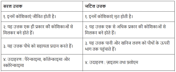 ऊतक (Tissues) NCERT Solutions | NCERT Textbooks in Hindi (Class 6 to Class 12) - CTET & State TET