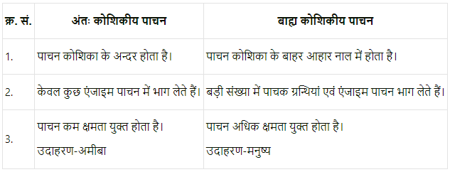 प्राणि जगत (Animal Kingdom) NCERT Solutions | NCERT Textbooks in Hindi (Class 6 to Class 12) - CTET & State TET