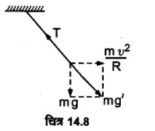 दोलन (Oscillations) NCERT Solutions | NCERT Textbooks in Hindi (Class 6 to Class 12) - CTET & State TET