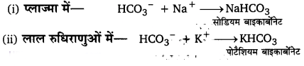 श्वसन और गैसों का विनिमय (Breathing & Exchange of Gases) NCERT Solutions | NCERT Textbooks in Hindi (Class 6 to Class 12) - CTET & State TET
