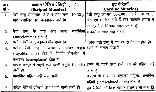 गमन एवं संचलन (Locomotion & Movement) NCERT Solutions | NCERT Textbooks in Hindi (Class 6 to Class 12) - CTET & State TET